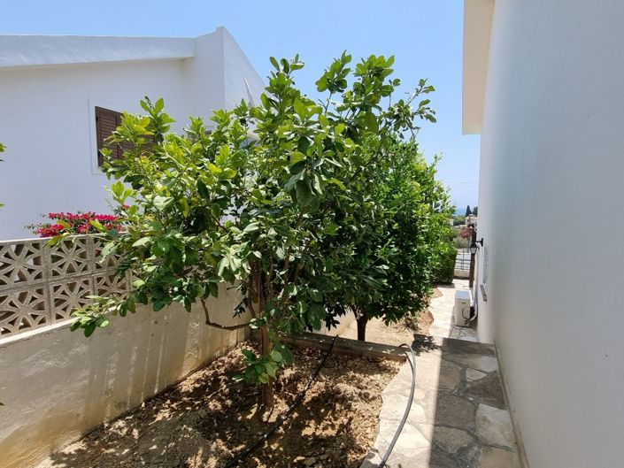 Image No.35-Property for sale