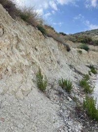 full62cc5d35dcf141657560373