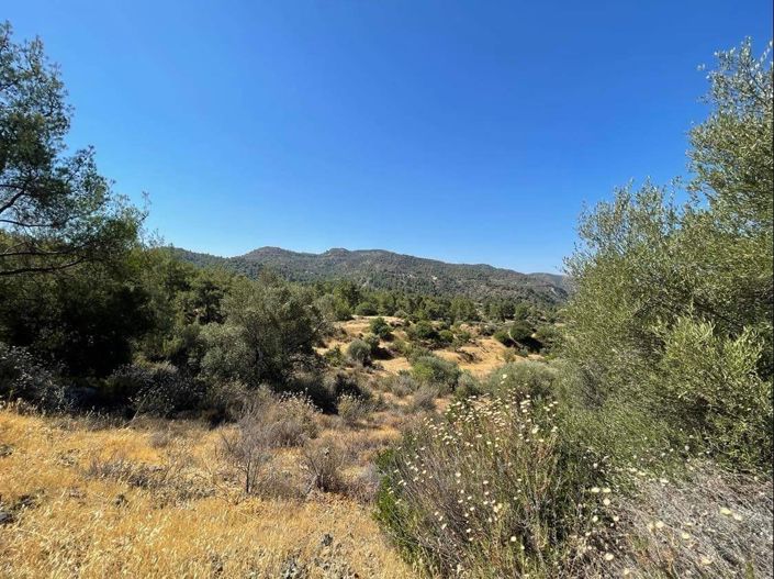 Image No.5-Property for sale