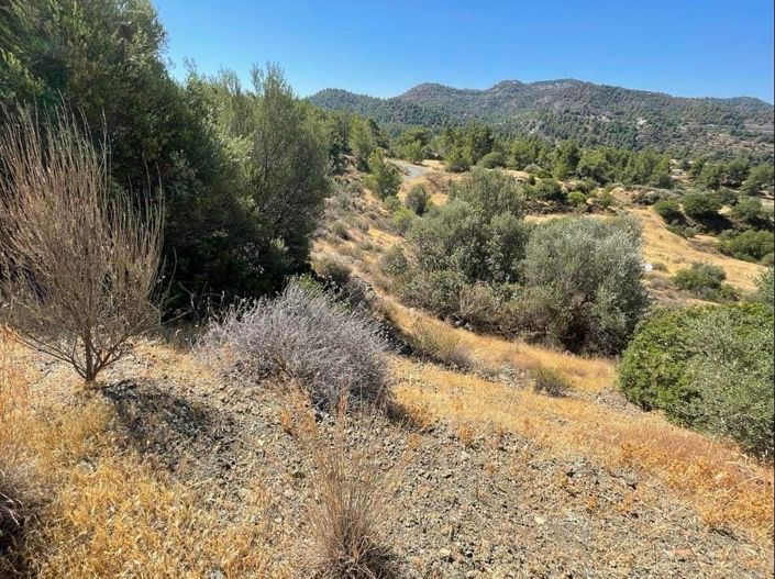 Image No.6-Property for sale