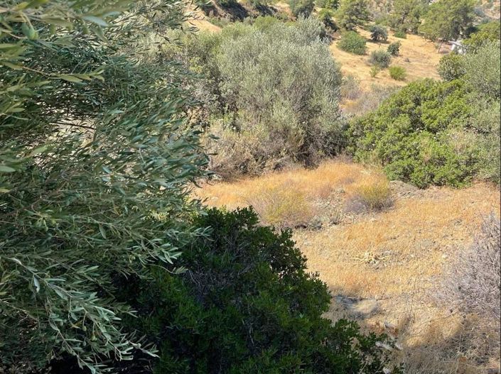 Image No.8-Property for sale