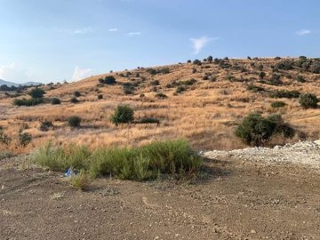 full62dede7f2587e1658773119