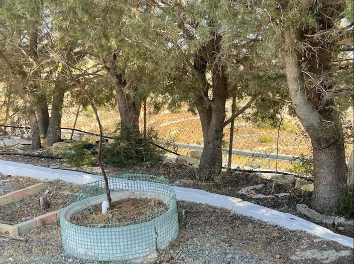 Image No.40-Property for sale