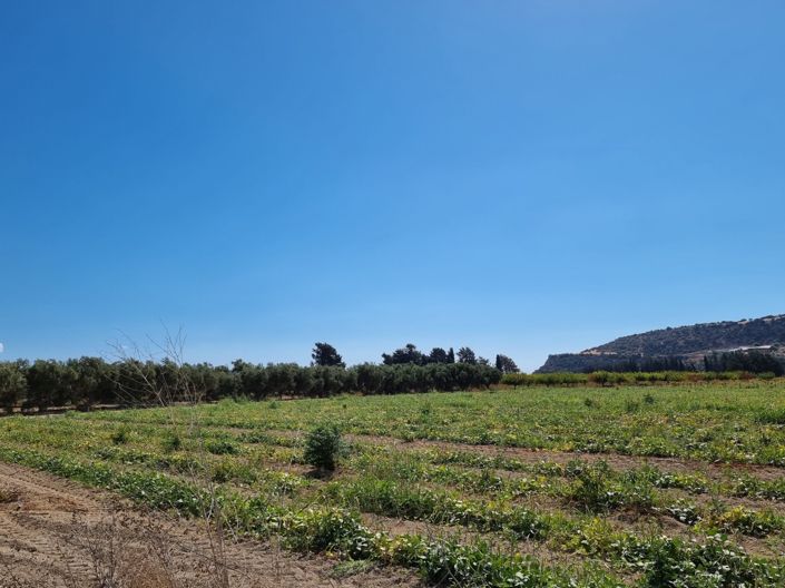 Image No.4-Property for sale