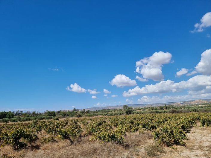 Image No.9-Property for sale