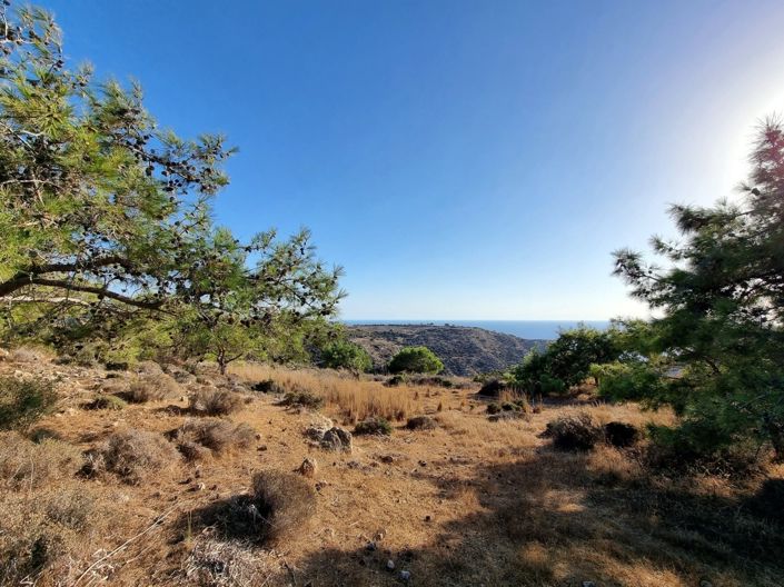 Image No.11-Property for sale