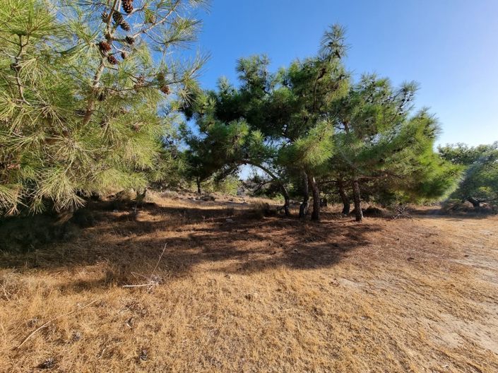 Image No.2-Property for sale