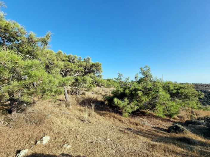 Image No.4-Property for sale