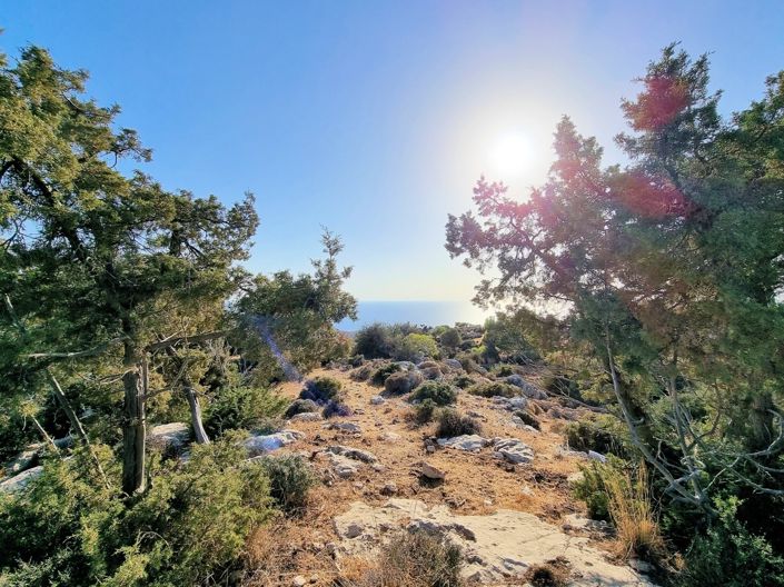 Image No.5-Property for sale