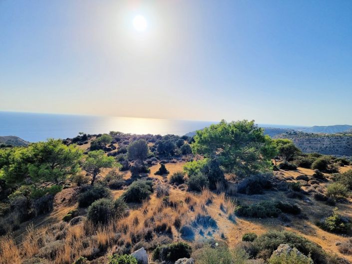 Image No.8-Property for sale