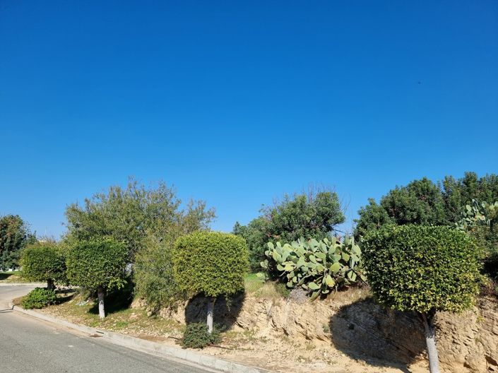 Image No.8-Property for sale