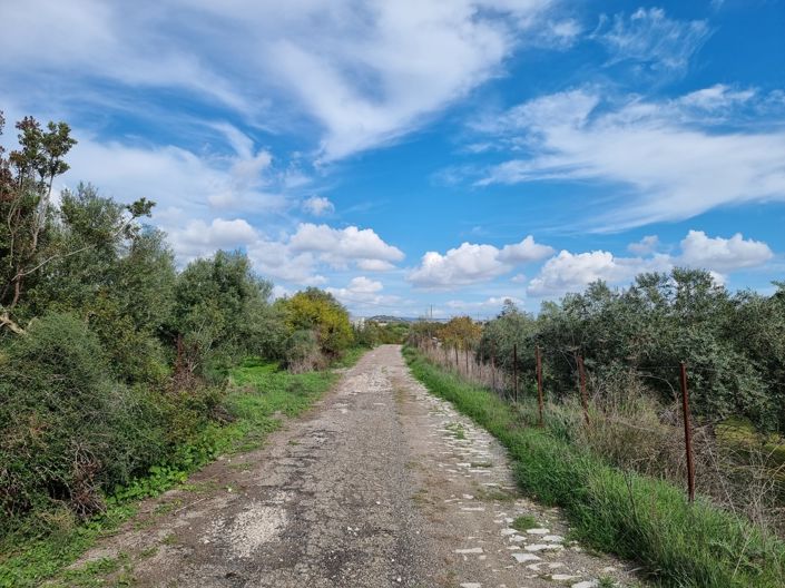 Image No.3-Property for sale