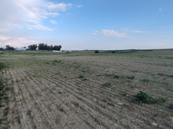 Image No.4-Property for sale