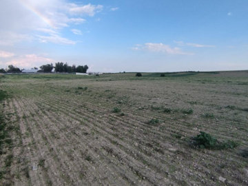 full63994ae0232c21670990560