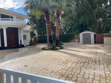 full63c6a049699af1673961545