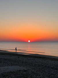 full63c6a049db1991673961545