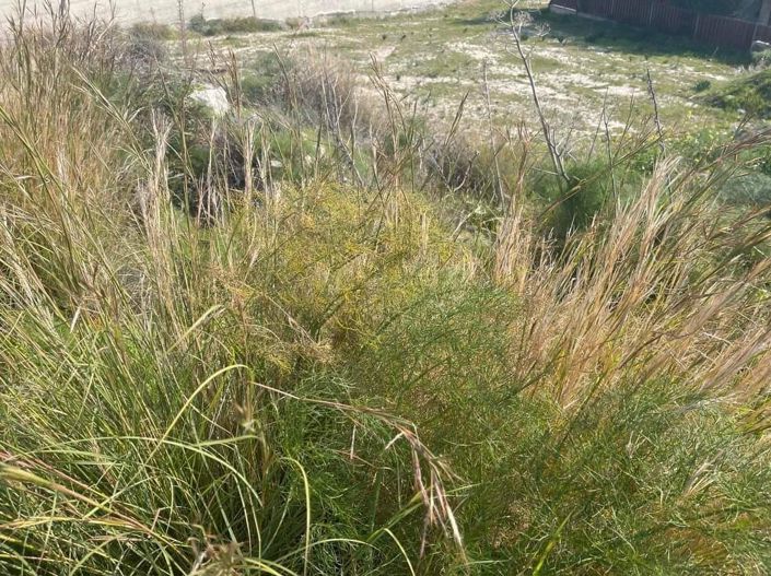 Image No.2-Propriété à vendre à Chypre