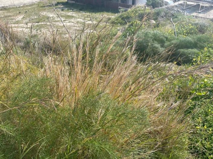 Image No.3-Propriété à vendre à Chypre