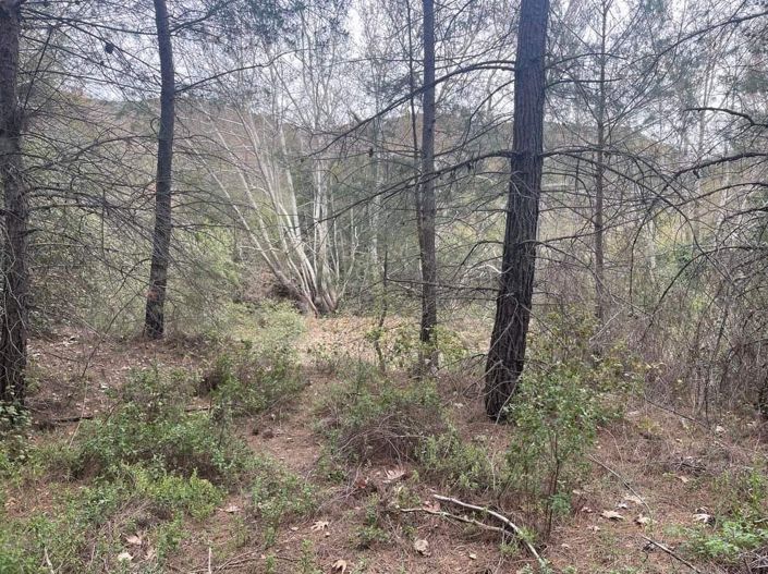 Image No.1-Property for sale