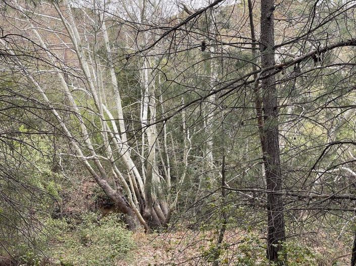 Image No.2-Property for sale