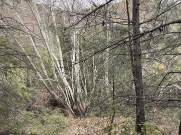 full64412be0a94f41681992672