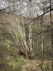 full64412be3a00c01681992675