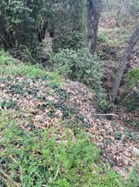 full64412be6494ff1681992678