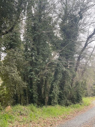 Image No.7-Property for sale