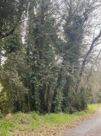 full64412bf022bc71681992688