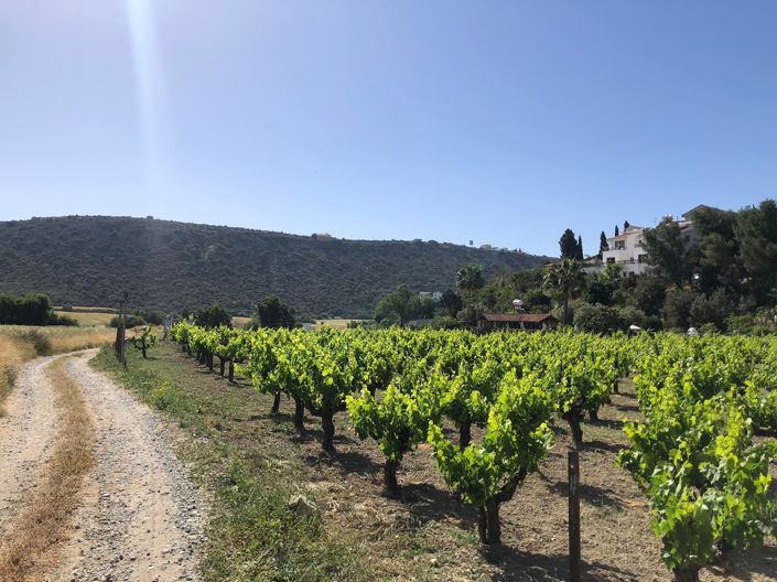 Image No.1-Property for sale