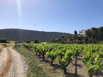 full6290f97f5802e1653668223