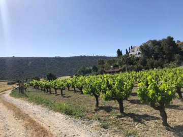 full6290f983c62811653668227