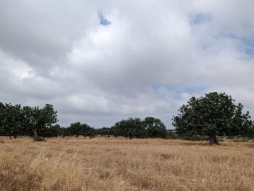 full654dd9506eeb21699600720