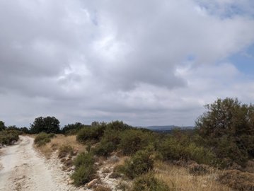 full654dd953447801699600723