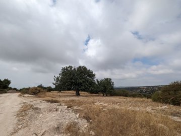 full654dd9566ac921699600726