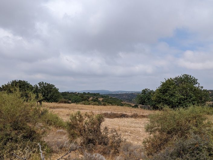 Image No.5-Property for sale