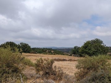 full654dd95b2ec821699600731