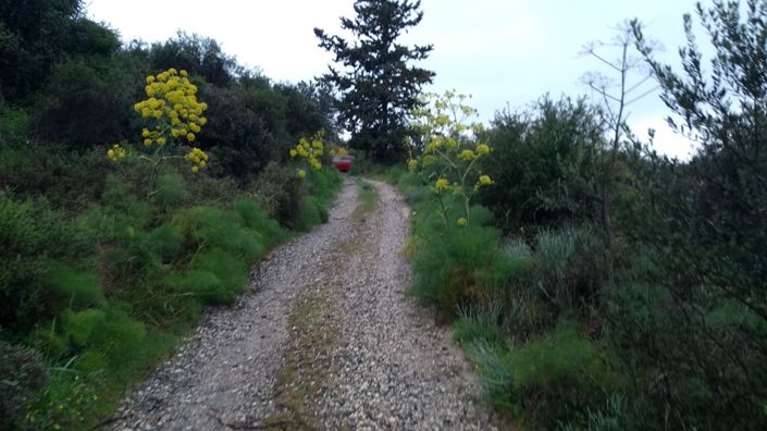 Image No.1-Property for sale