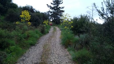 full655b2aa96ad811700473513