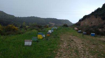 full655b2aaa4aa2f1700473514