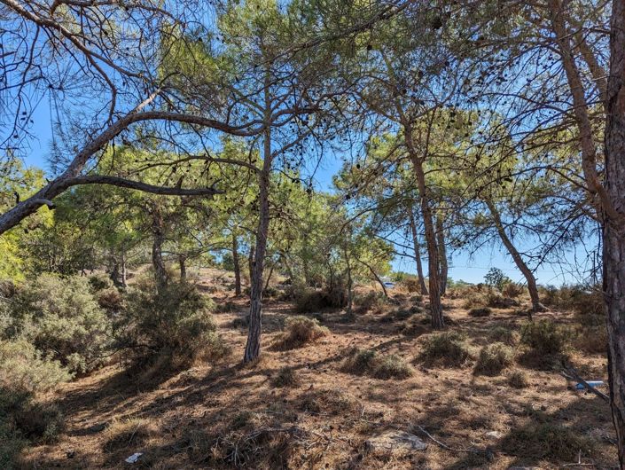 Image No.1-Property for sale