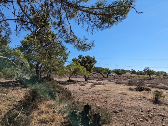 Image No.2-Property for sale