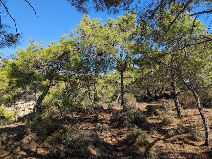 Image No.3-Property for sale