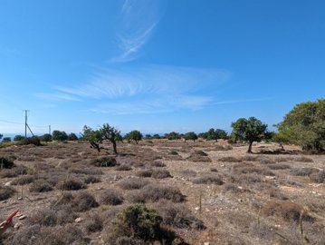 full655c5f92c8fb31700552594