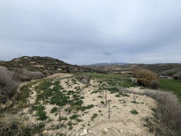 full65c11814954e71707153428