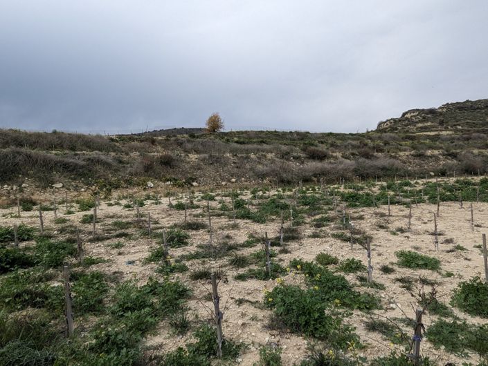 Image No.6-Property for sale