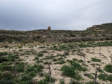 full65c11819518411707153433