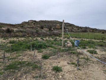 full65c1181f735fb1707153439