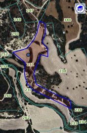 full65c24a13736411707231763