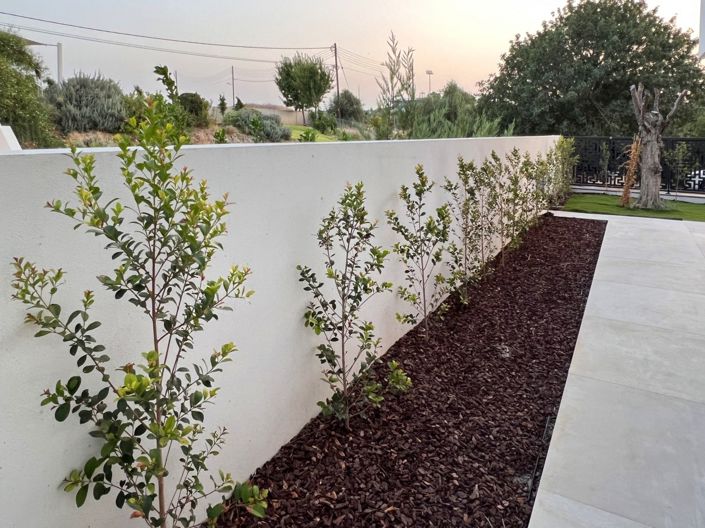 Image No.100-Property for sale